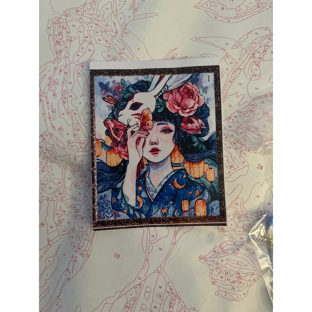 Paint by Numbers DIY Oil Canvas